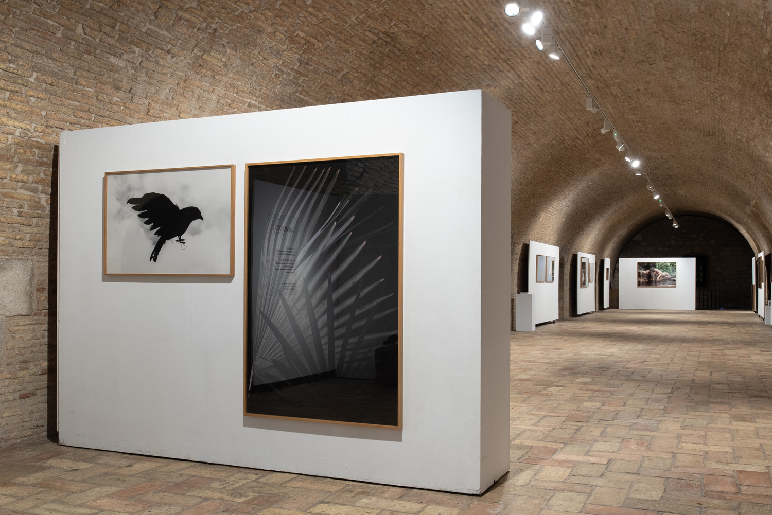 Más allá de lo que pueda ver