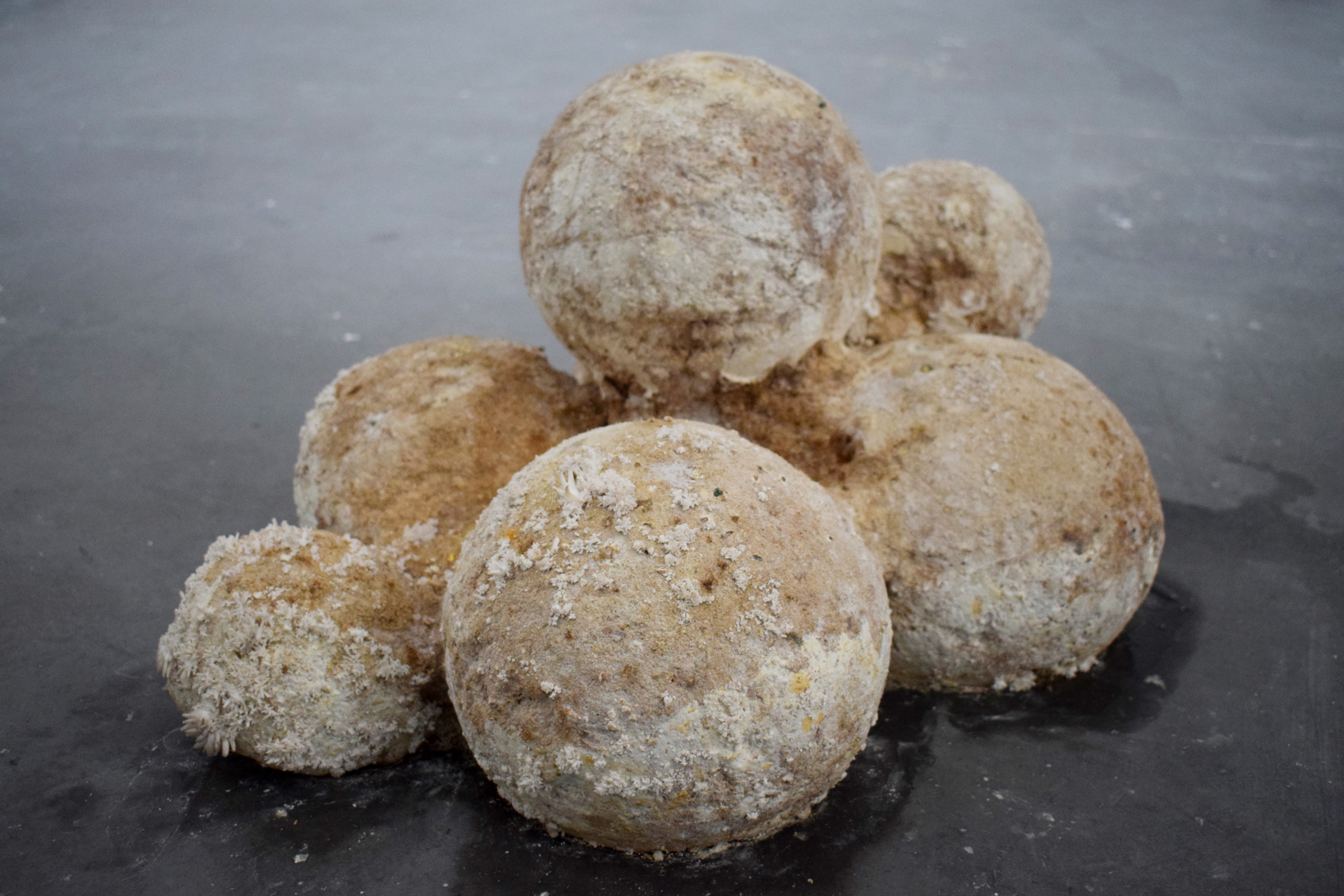 Un movimiento que engendra un movimiento