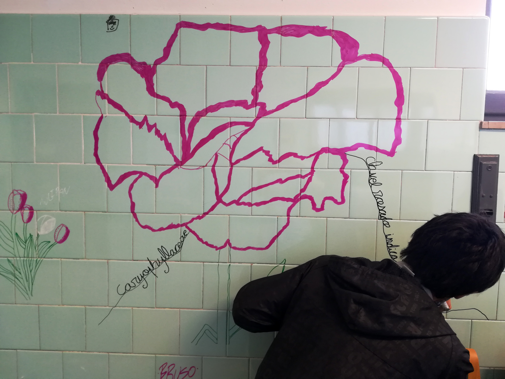 Escribo la palabra y suena